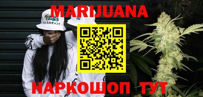 сатива Моздок