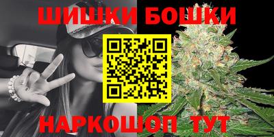сатива Моздок
