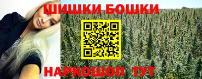 сатива Моздок